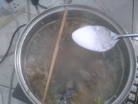 清炖鲫鱼汤的做法步骤8