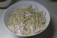酸辣绿豆芽的做法步骤1