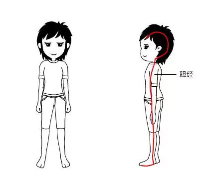 胆经1.jpg