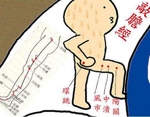 胆经4.jpeg