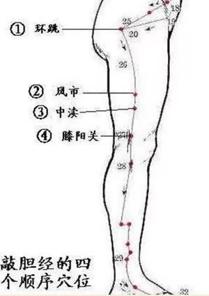 胆经3.jpg