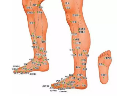 脚腕.jpg