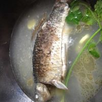 奶白鲫鱼汤的做法图解4