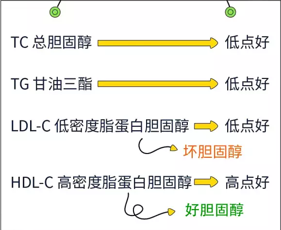 血脂.png