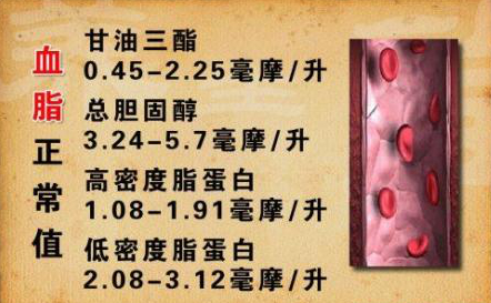 血脂1.jpg
