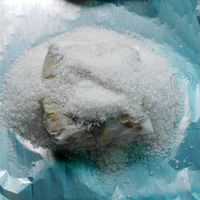 盐焗鸡翅 #我的品道美食#的做法图解7